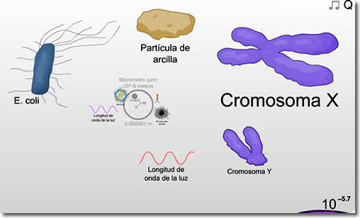 Páginas para aprender ciencia