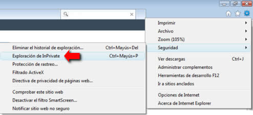 Explorer. Navegación privada