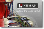 Biodigital Human