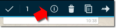 El significado de las marcas o checks de Whatsapp