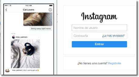 Cómo eliminar una cuenta de Instagram para siempre