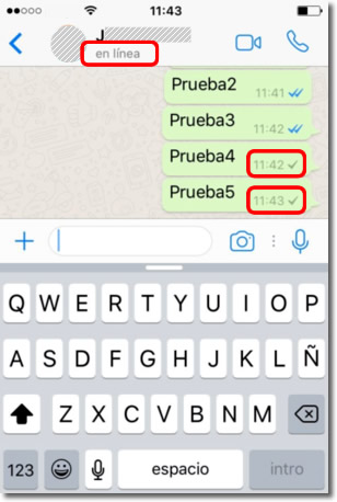 Por qué está en línea en Whatsapp pero no le llegan mis mensajes