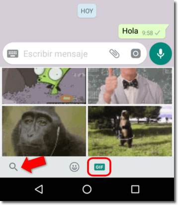 Crear GIF Animados fácilmente con nuestras fotos y vídeos