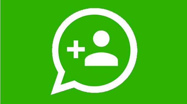 Privacidad grupos Whatsapp